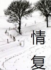 虎胆熊威3