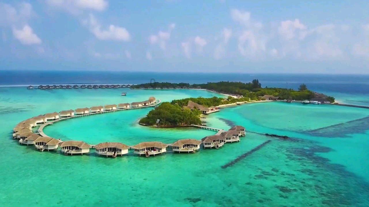 脑洞小老弟无实名认证